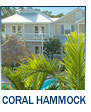 Coral Hammock vacation rentals